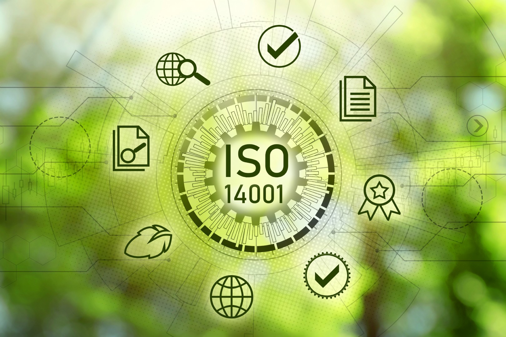 ISO 14001 Çevre Yönetim Sistemi